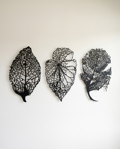 AXIS Botanical Essence en negro