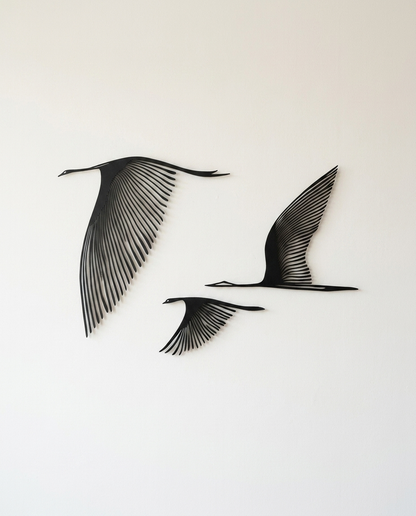 AXIS Avian Grace en negro